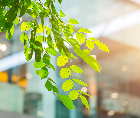 Territorio y Urbanismo Sostenible Territorio y Urbanismo Sostenible