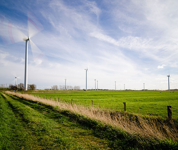Vigilancia Ambiental en Parques Eólicos Vigilancia Ambiental en Parques Eólicos