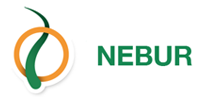 Nebur | Medioambiente