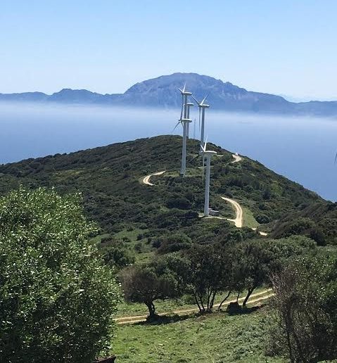 NEBUR ofrece nueva actividad formativa NEBUR ofrece nueva actividad formativa