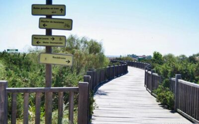 NEBUR elabora el documento técnico para la gestión y eliminación de flora exótica en Los Toruños y Pinar de la Algaida