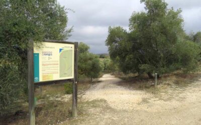 El Sendero El Observatorio: el recorrido imprescindible para descubrir la Laguna de Zóñar