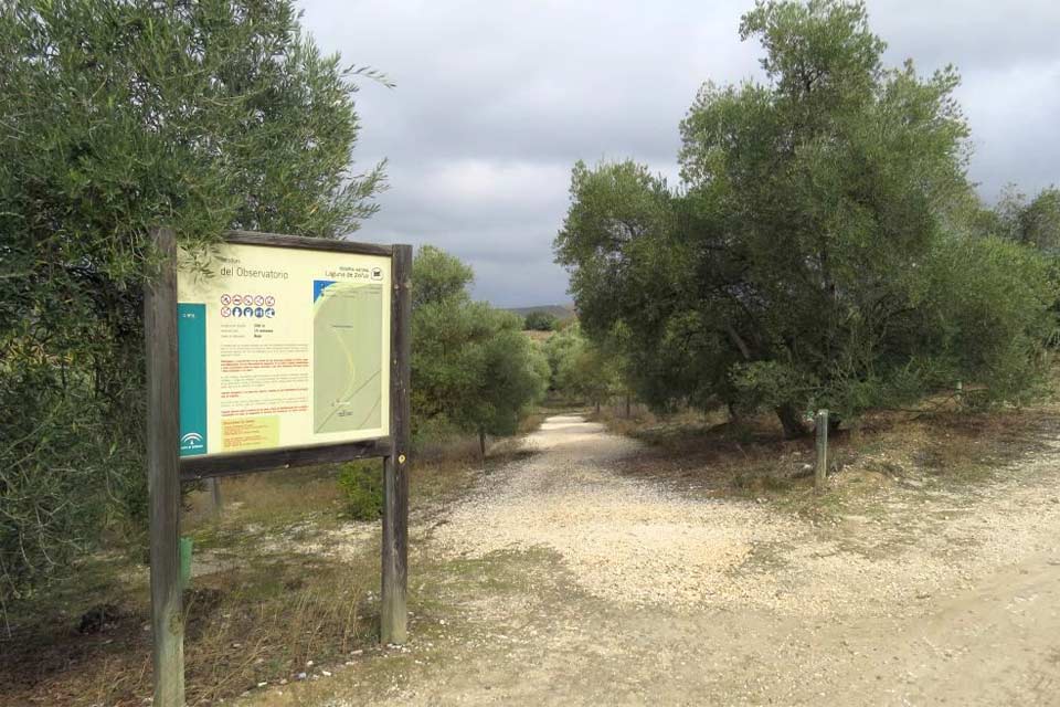 El Sendero El Observatorio: el recorrido imprescindible para descubrir la Laguna de Zóñar
