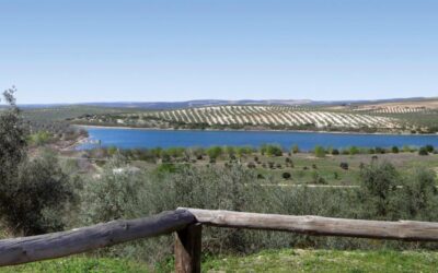 Nebur Medioambiente, adjudicataria del Centro de Visitantes Laguna de Zóñar