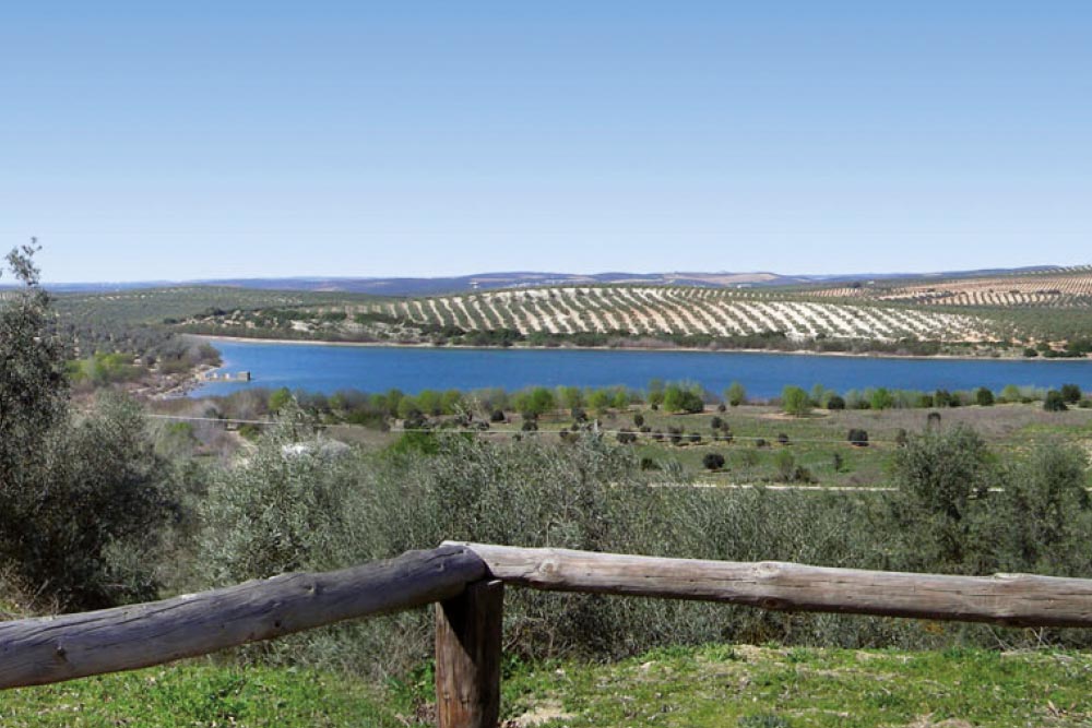 Centro de Visitantes Laguna de Zóñar gestionado por Nebur Medioambiente