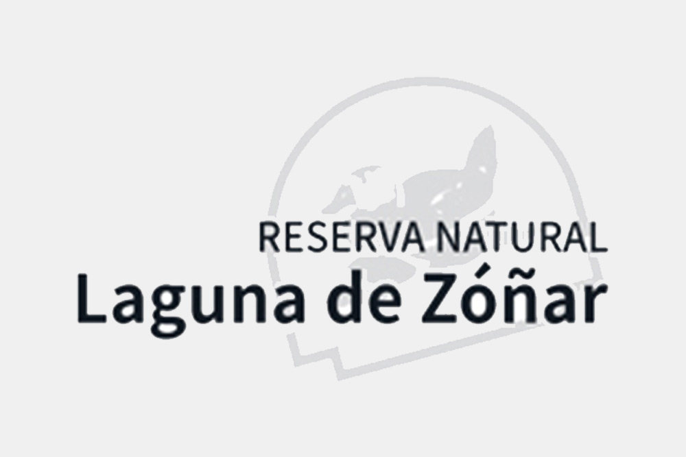 laguna-nebur