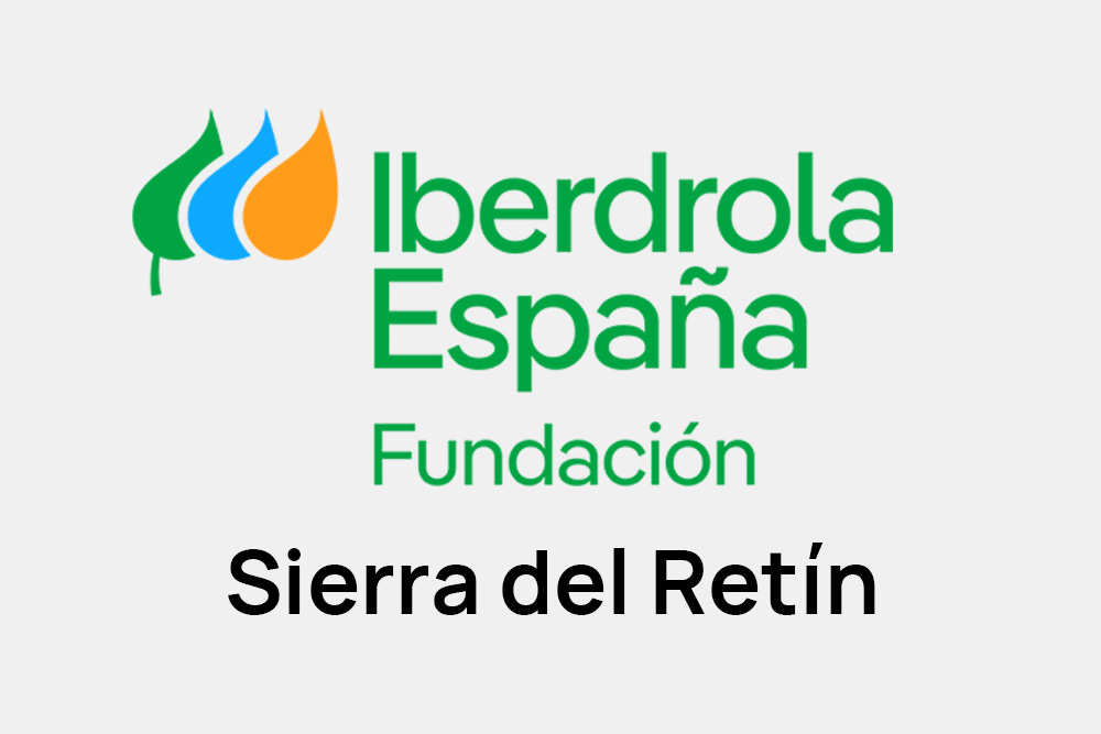 sierra-retin-nebur